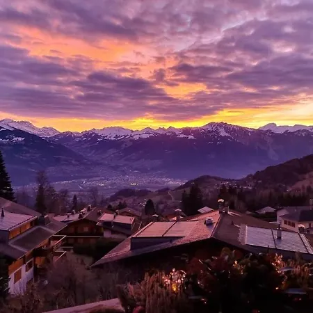 Panoramique